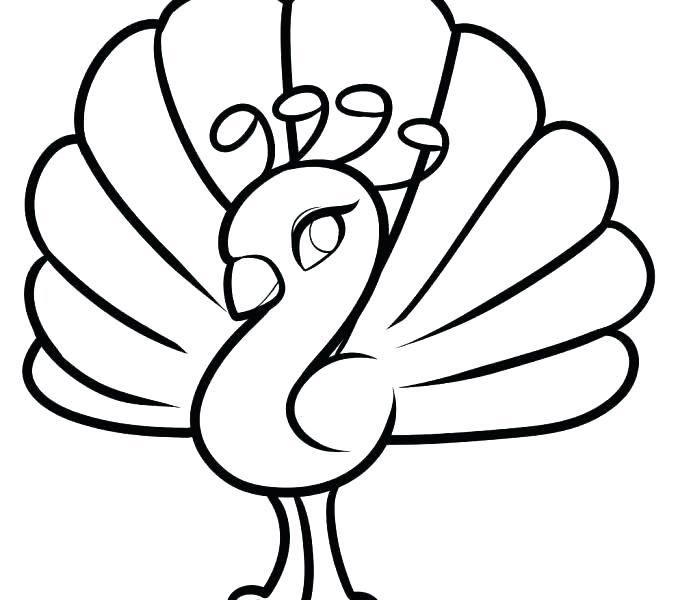 678x600 Coloring Pages Peacock