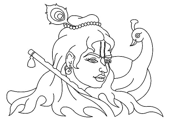 600x424 Krishna And Peacock Coloring Pages