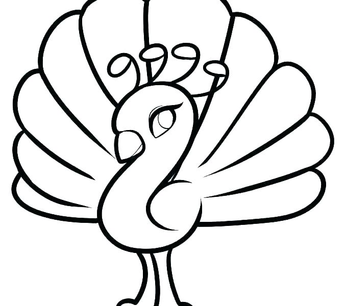 678x600 Feather Coloring Page Printable Feathers Turkey Feather Coloring