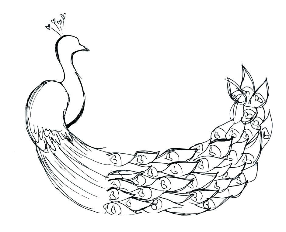 940x764 Peacock Coloring Page Feather Coloring Page As Well As Peacock