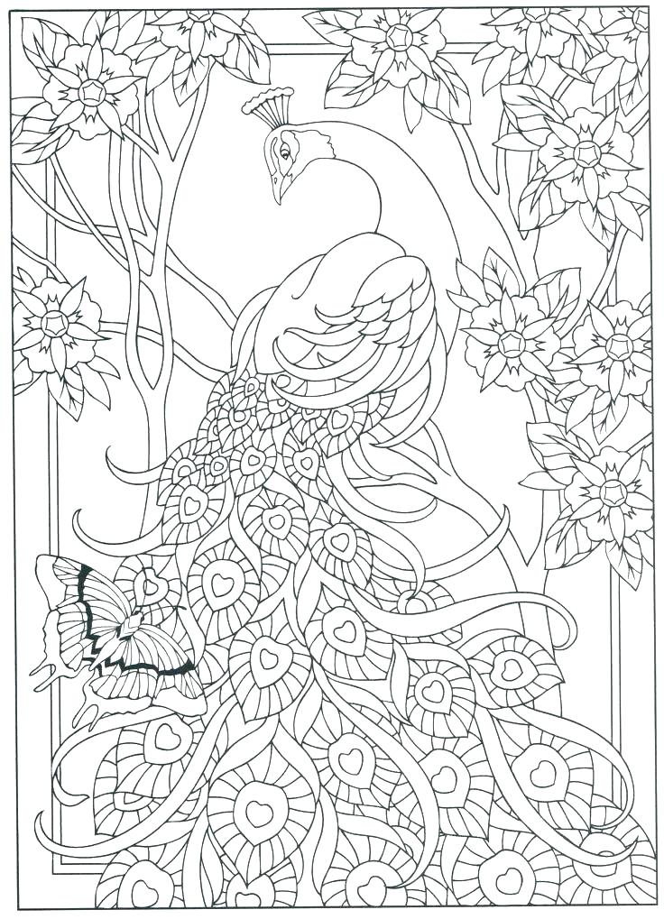 Peacock Pictures Coloring Pages at GetColorings.com | Free printable ...