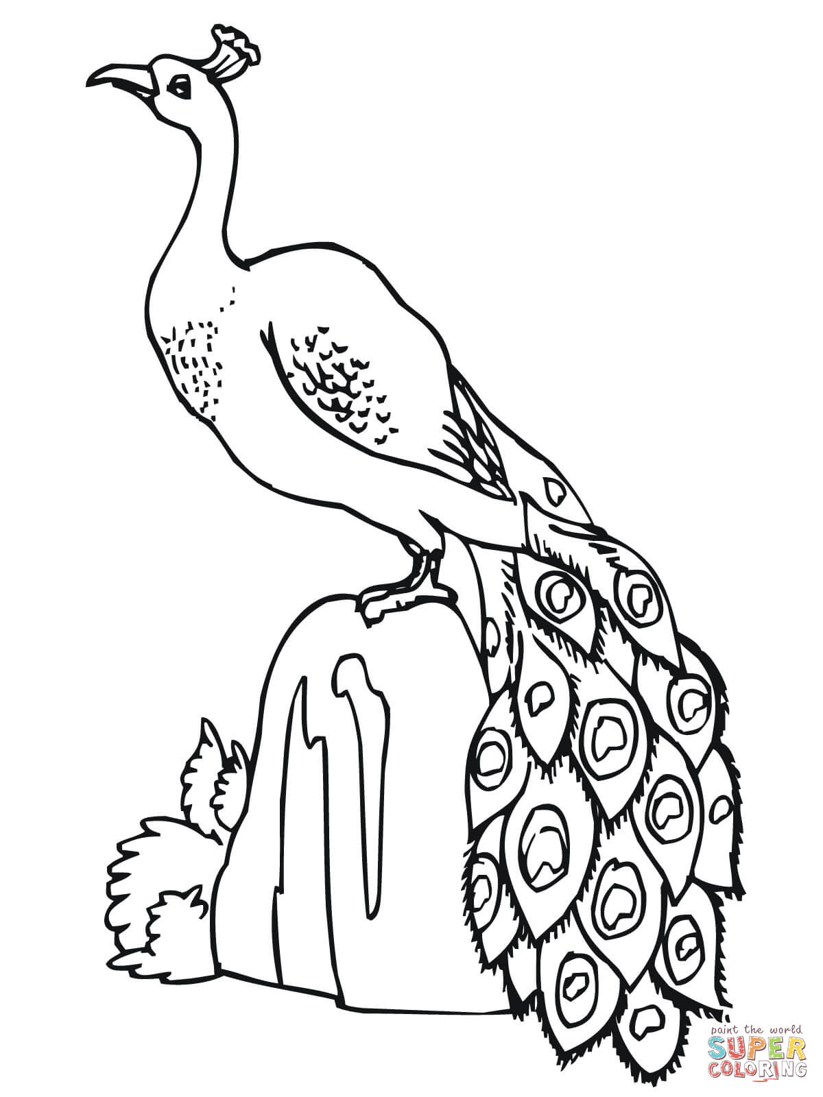 1200x1600 Peacock Standing On Stone Coloring Page To Pictures Of Peacocks