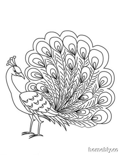 420x542 Peacock Coloring Pages Free.jpg Kids Activities