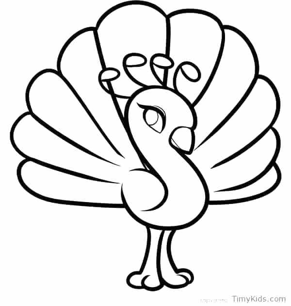 600x630 Coloring Pages Of Peacocks Peacock Coloring Pages Peacocks