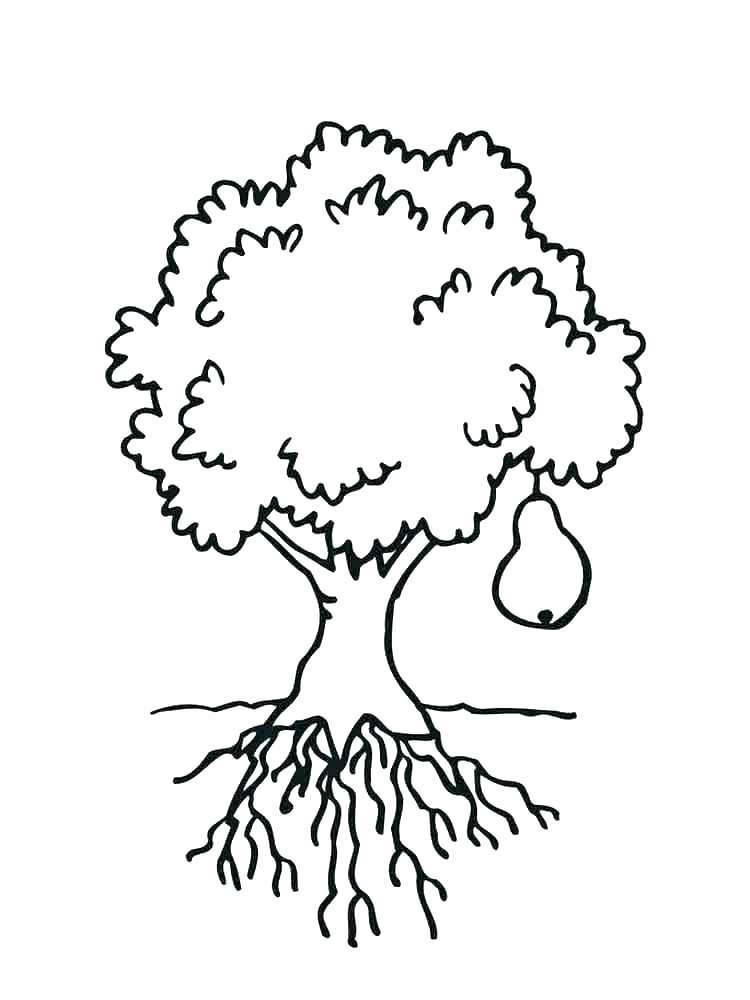 Cactus Coloring Pages Pear Coloring Page Cactus Coloring Free 750x1000 Cactus Coloring Pages Pear Coloring Page Cactus Coloring Free