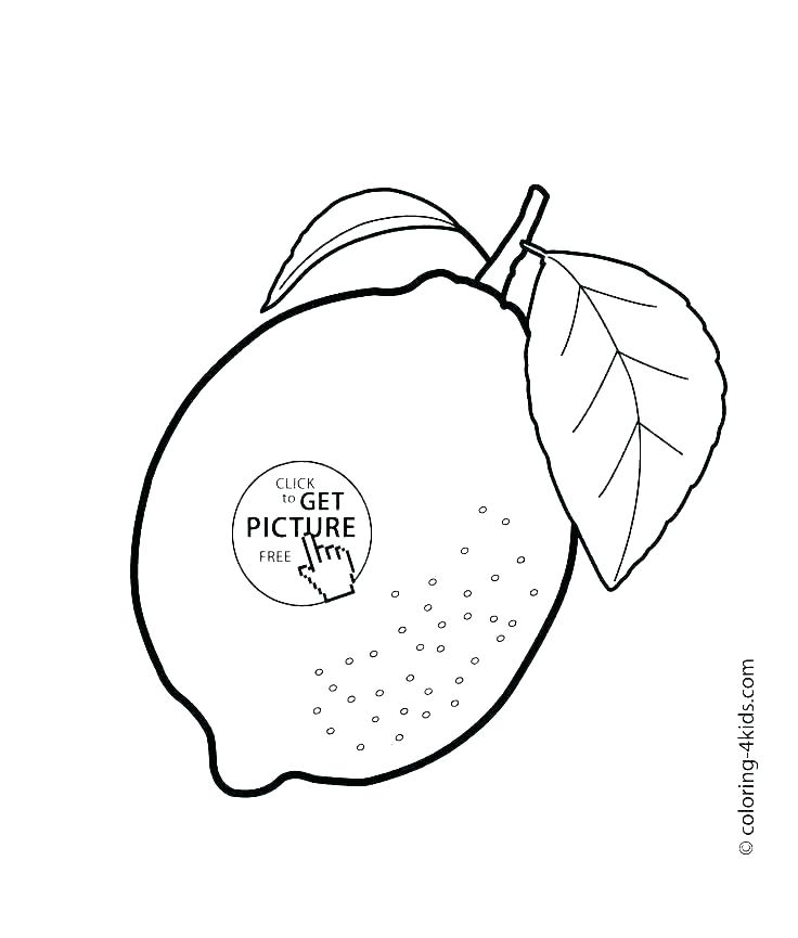 Coloring Pages Of Fruit 736x865 Coloring Pages Of Fruit