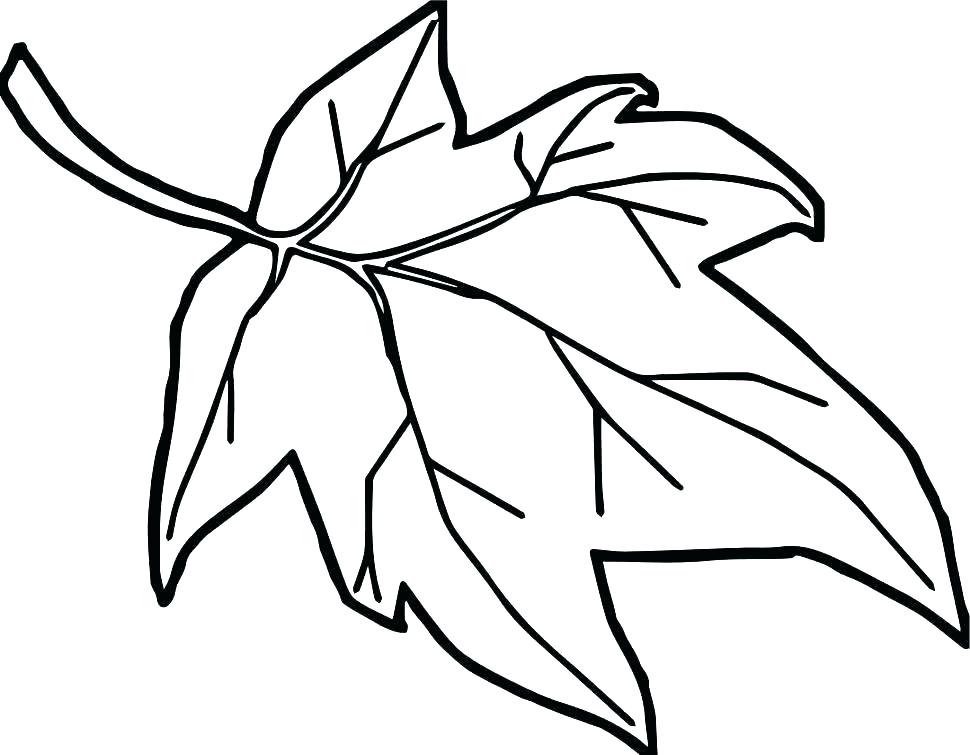 Orange Coloring Sheet 970x755 Orange Coloring Sheet