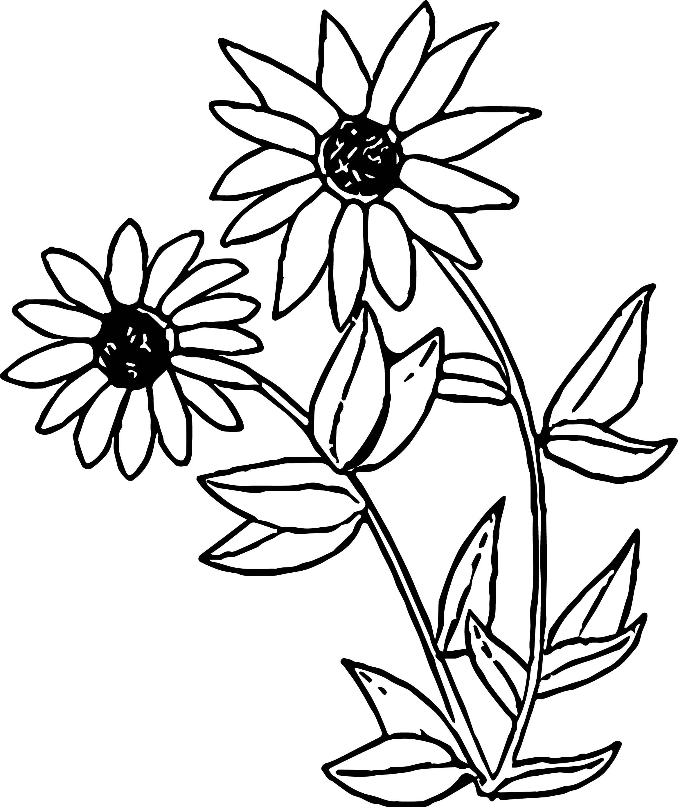 Peas Coloring Page