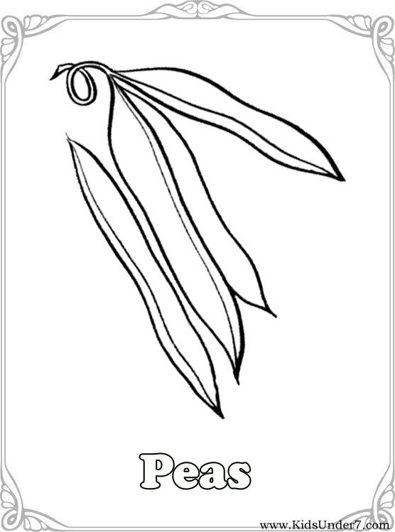 Vegetables Coloring Pages.vegetable Coloring. Find Free Coloring 556x749 Vegetables Coloring Pages.vegetable Coloring. Find Free Coloring
