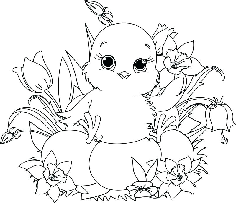 800x687 Chick Coloring Page Baby Chick Coloring Page Baby Chick Coloring