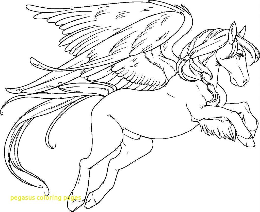 Pegasus Coloring Pages 1024x833 Pegasus Coloring Pages