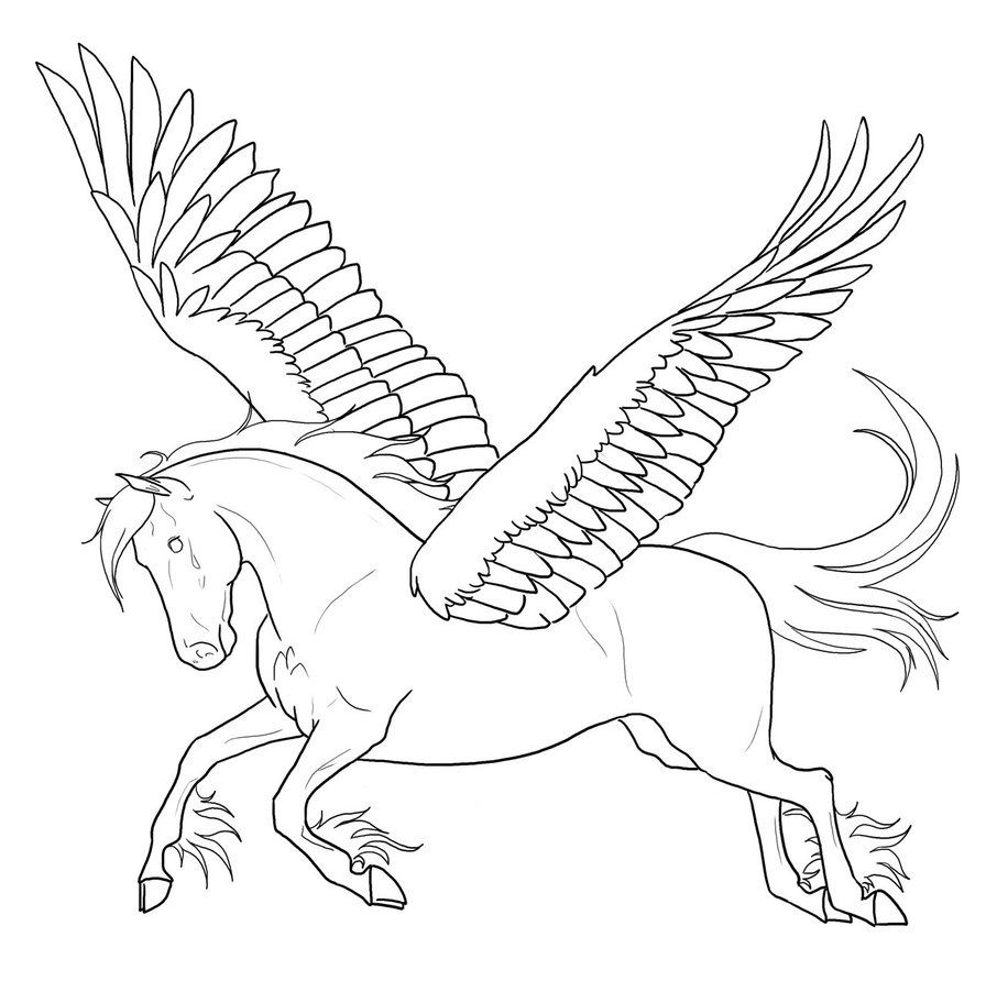 Httpcolorings.copegasus Coloring Pages 896x892 Httpcolorings.copegasus Coloring Pages