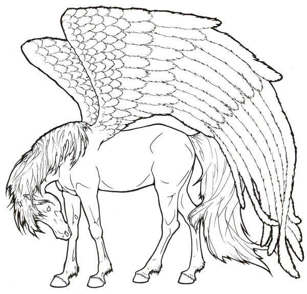 600x576 Pegasus Coloring Pages