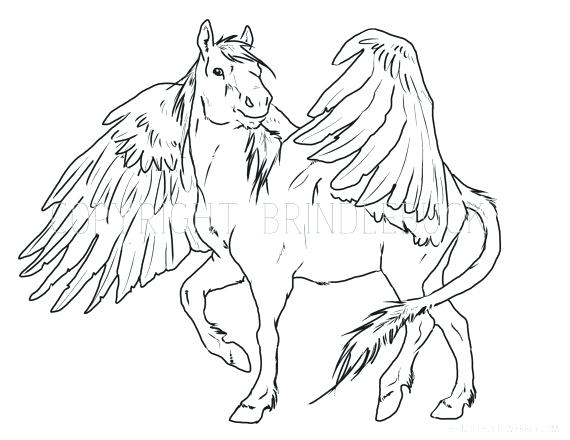 570x440 Pegasus Coloring Pages 2 Coloring Page Download Child Art Adult By