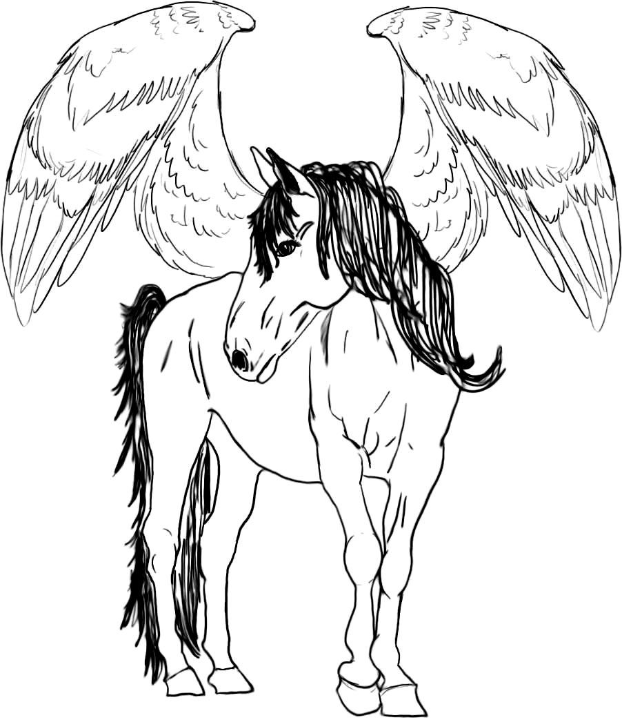 902x1043 Unique Adult Coloring Pages Pegasus Design Printable Coloring Sheet