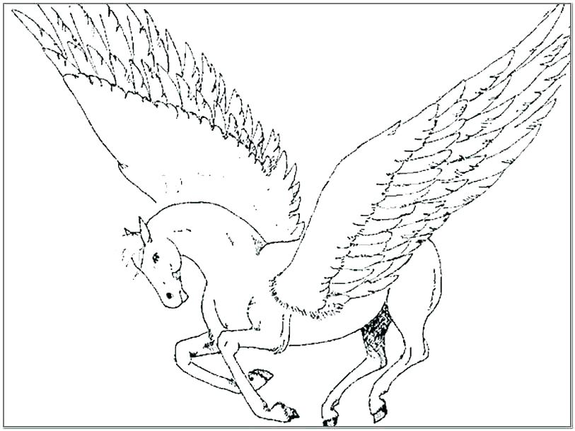 813x610 Pegasus Coloring Pages