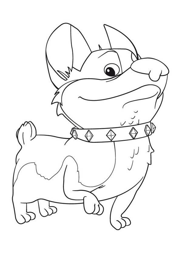 600x834 Corgi Coloring Pages Pleasing Yip And Yap Corgis In Mike