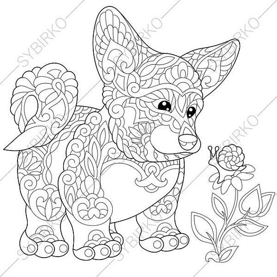 570x570 Welsh Corgi Dog. 2 Coloring Pages For National Pet Day