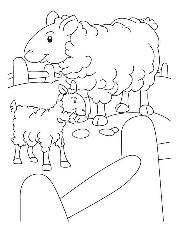 612x792 Lamb Coloring Pages Mother Sheep And Lamb In A Pen Coloring Page