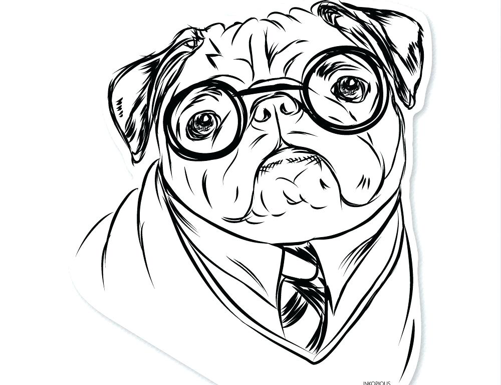 1000x768 Pug Coloring Page Drawn Pug Fabulous Pencil To Coloring Dog