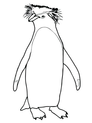360x480 Coloring Page Penguin Cartoon Penguin Coloring Pages Coloring Page