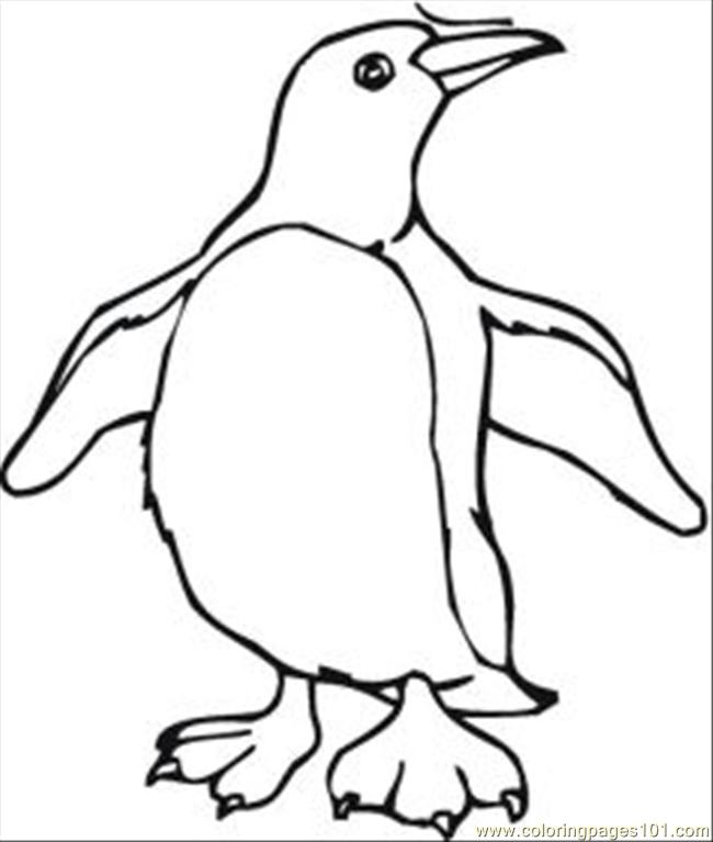 Penguin Coloring Pages 6 Med Coloring Page 650x767 Penguin Coloring Pages 6 Med Coloring Page