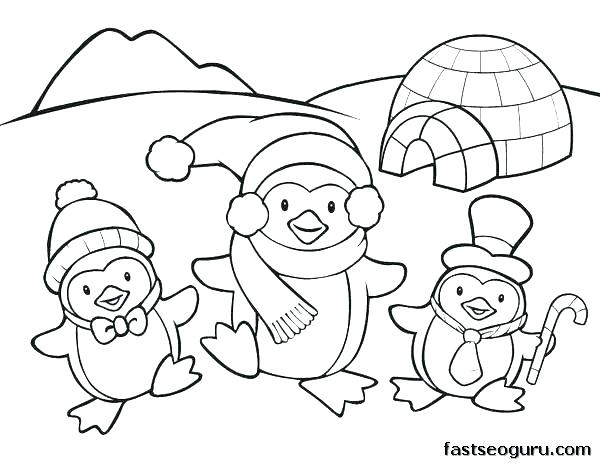 600x464 Coloring Page Penguin Coloring Pages Penguins Coloring Page