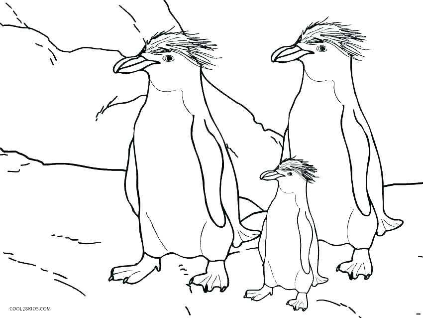 Penguin Coloring Book And Free Printable Emperor Penguin Coloring 850x638 Penguin Coloring Book And Free Printable Emperor Penguin Coloring