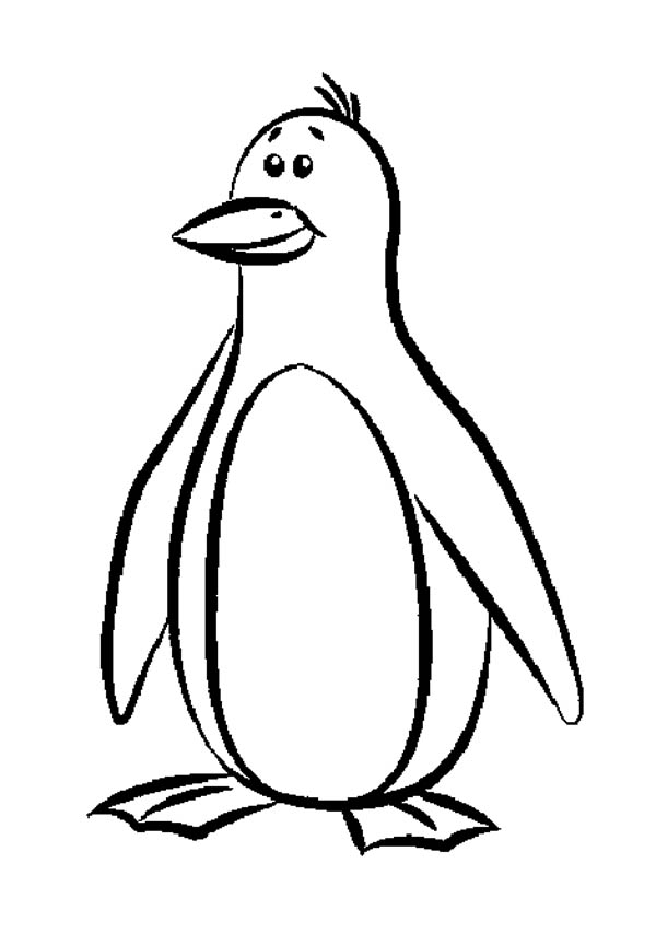Penguin Coloring Colouring Pages Penguin Coloring Pictures New 600x853 Penguin Coloring Colouring Pages Penguin Coloring Pictures New