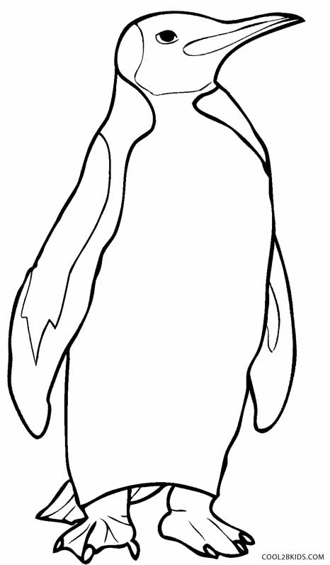 Printable Penguin Coloring Pages 466x797 Printable Penguin Coloring Pages