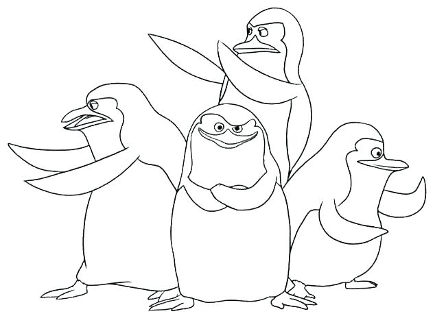 Penguin Coloring Pages Coloring Pages Coloring Penguin Coloring 650x480 Penguin Coloring Pages Coloring Pages Coloring Penguin Coloring