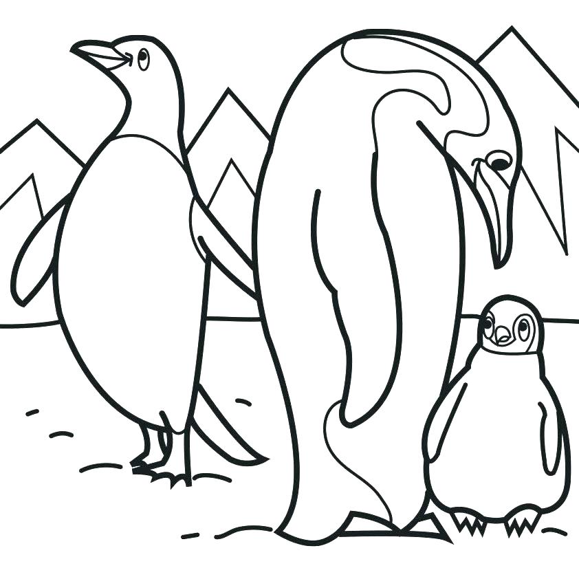 Penguin Coloring Pages Free Printable Penguins Coloring Pages 842x842 Penguin Coloring Pages Free Printable Penguins Coloring Pages