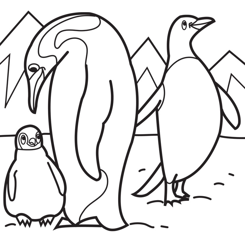 Penguin Coloring Pages To Print Preschool Humorous Page Image 842x842 Penguin Coloring Pages To Print Preschool Humorous Page Image