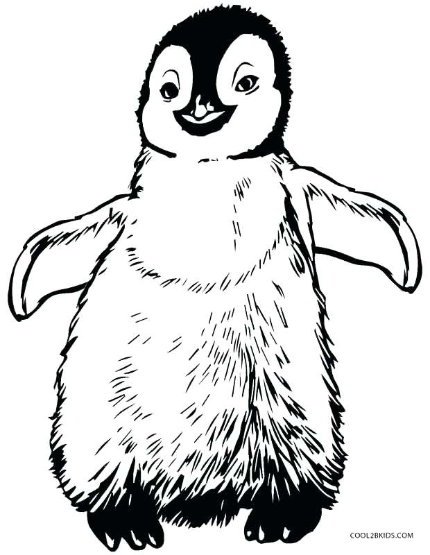 Penguin Coloring Pages Epic Penguin Coloring Pages For Image 620x800 Penguin Coloring Pages Epic Penguin Coloring Pages For Image