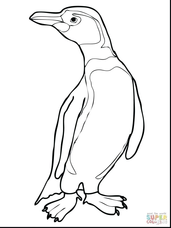 Penguin Coloring Pages Penguin Coloring Page Penguins Coloring 728x971 Penguin Coloring Pages Penguin Coloring Page Penguins Coloring