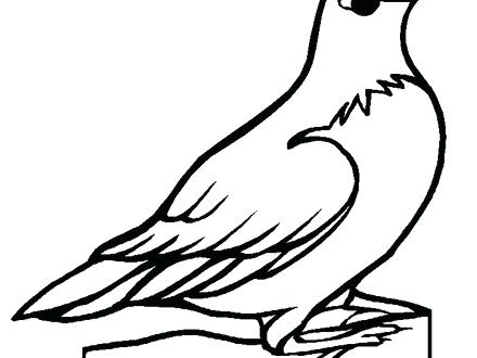 440x330 Pennsylvania Coloring Pages State Bird Coloring Pages Coloring