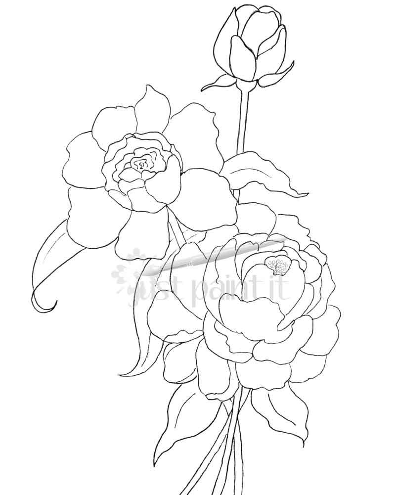 801x1001 Hydrangea And Peonies Coloring Pages Peony, Hydrangea And Flower