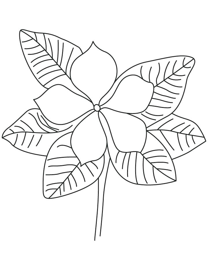 Purple Coloring Pages Impair.co 720x936 Purple Coloring Pages Impair.co