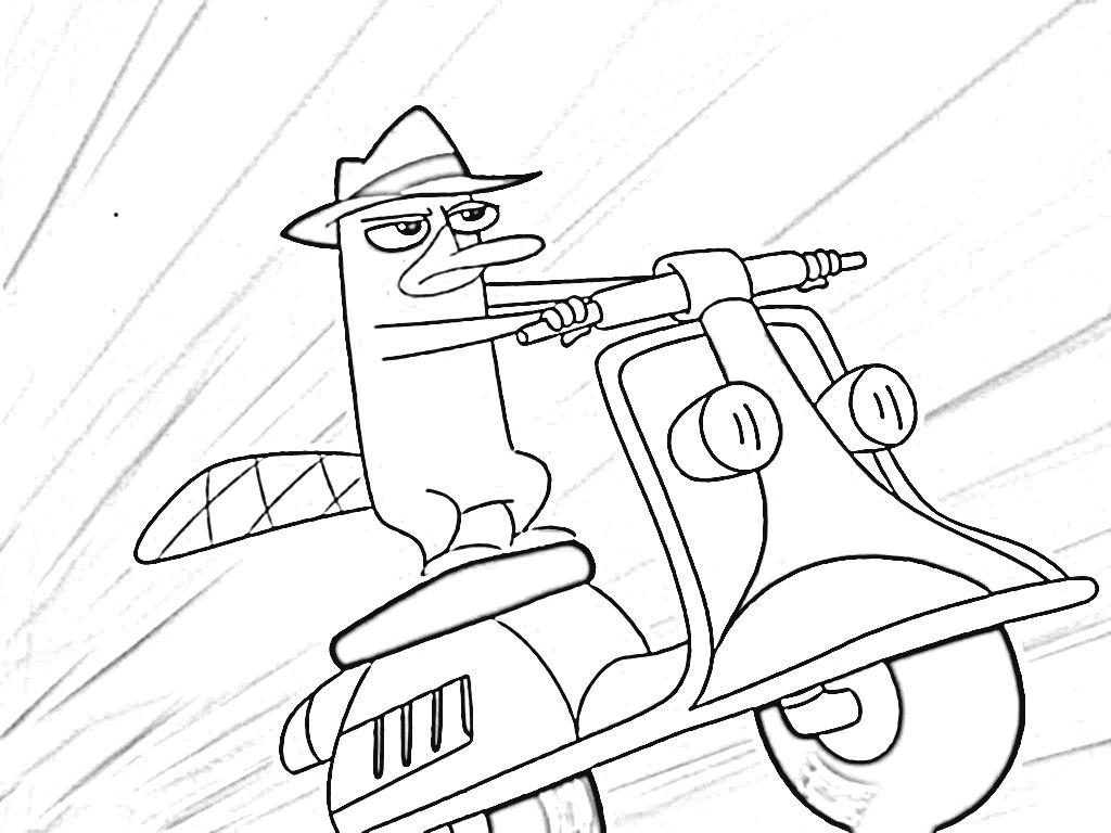 1024x768 Perry The Platypus Coloring Pages Phineas And Ferb 3 Beauteous