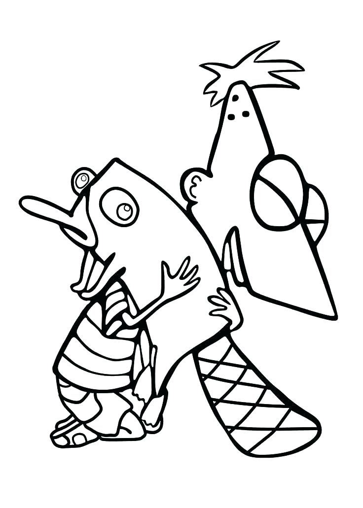 736x1031 Perry The Platypus Coloring Pages Platypus Coloring Page Animal