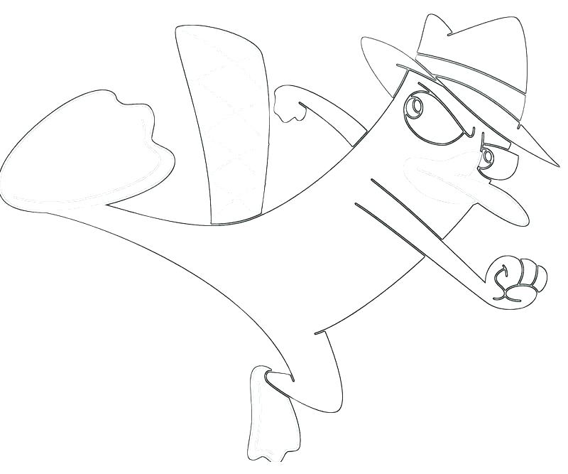 800x667 Platypus Coloring Page The Platypus Run Tubing Platypus Colouring