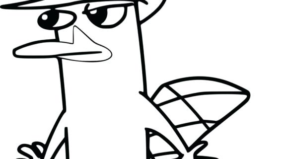 570x320 The Platypus Drawing Engaging Platypus Coloring Free Perry