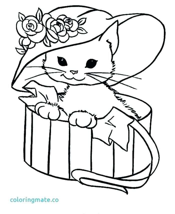 700x856 Persian Cat Coloring Pages Find Your Zen While Exposing Your