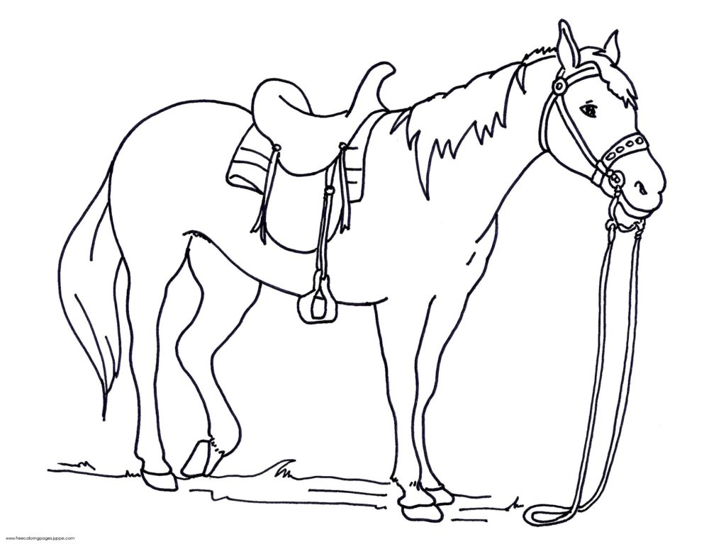 1024x768 24 Horse Head Coloring Pages To Print, Horse Head Coloring Pages