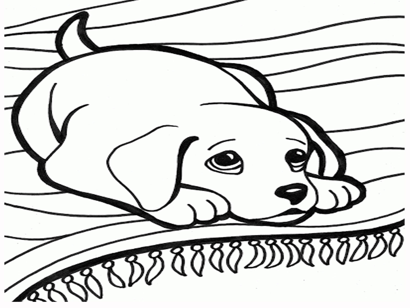 Funny Animals Coloring Page Cute Dog Coloring Pages Printable 1600x1200 Funny Animals Coloring Page Cute Dog Coloring Pages Printable