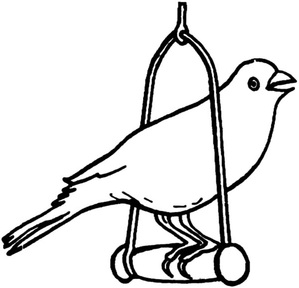 Canary Bird Pet Coloring Pages Best Place To Color 600x579 Canary Bird Pet Coloring Pages Best Place To Color