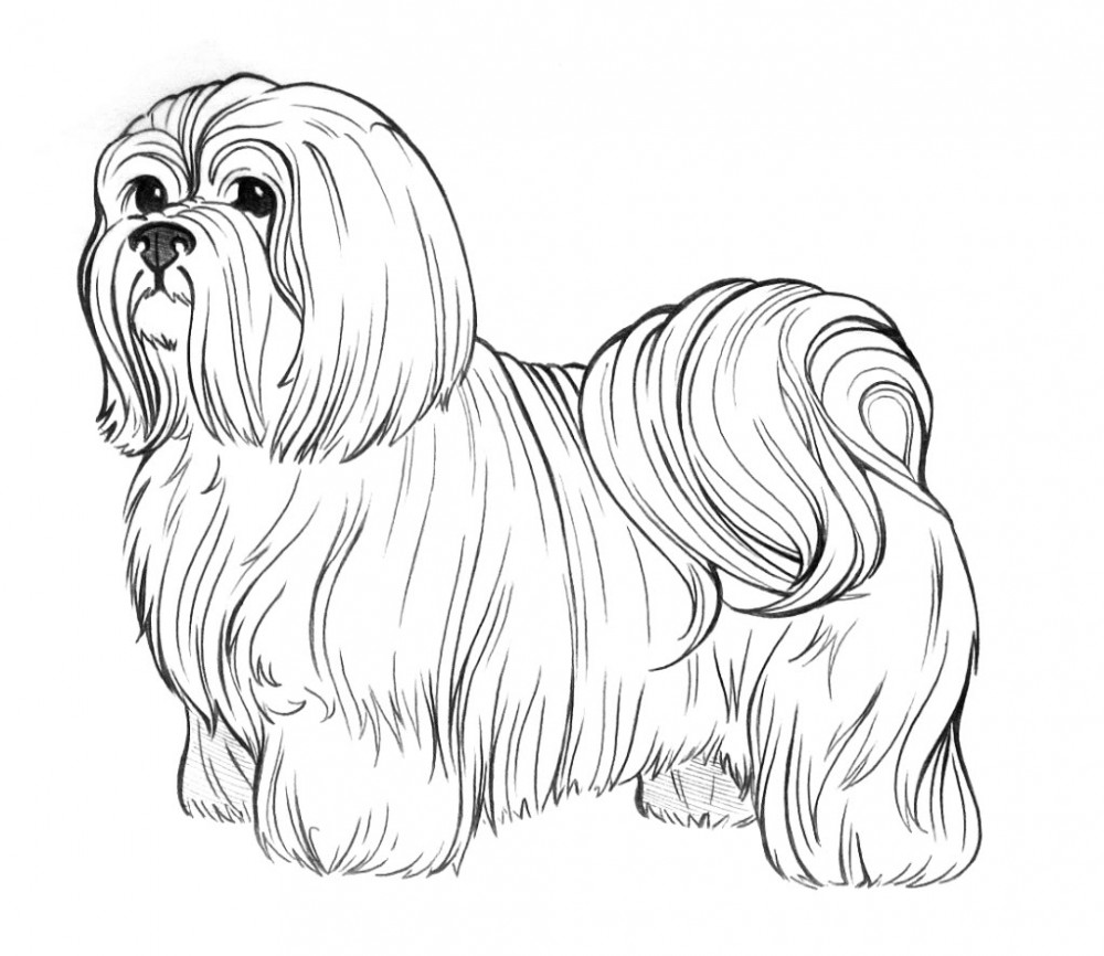 Dog Coloring Pages 360coloringpages 1000x866 Dog Coloring Pages 360coloringpages