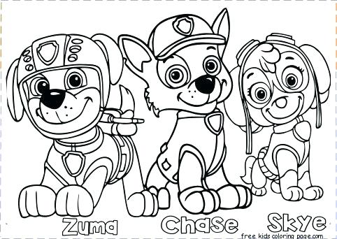 Paw Patrol Printable Coloring Pages 482x342 Paw Patrol Printable Coloring Pages