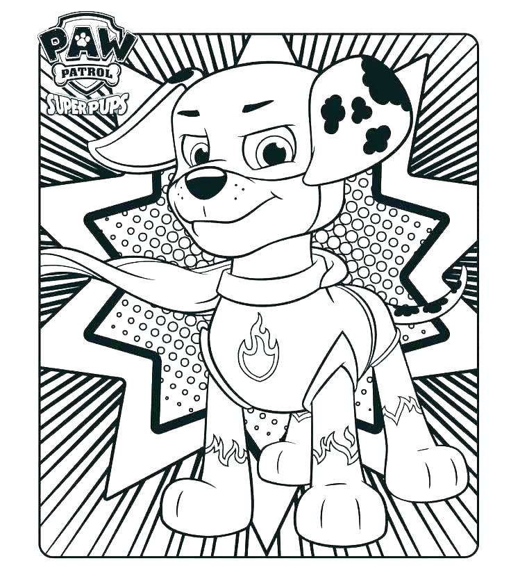 Skye Paw Patrol Coloring Pages 736x833 Skye Paw Patrol Coloring Pages