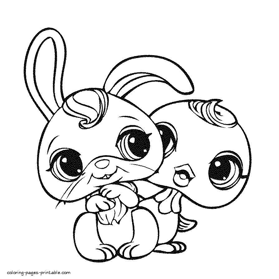895x895 Fresh My Littlest Pet Shop Coloring Pages Gallery Free Coloring Book